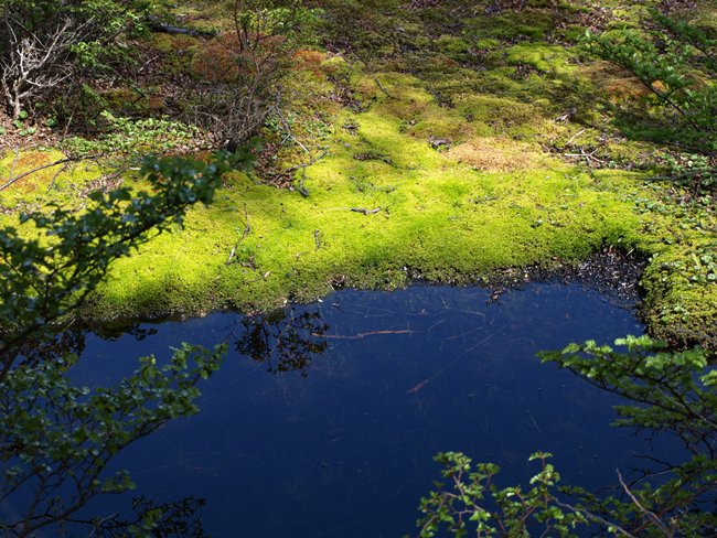 ../../Pictures/231209/090 Nationalpark Tierra del Fuego.JPG
